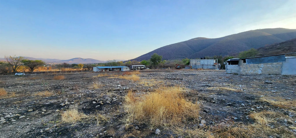 TERRENO YAUTEPEC