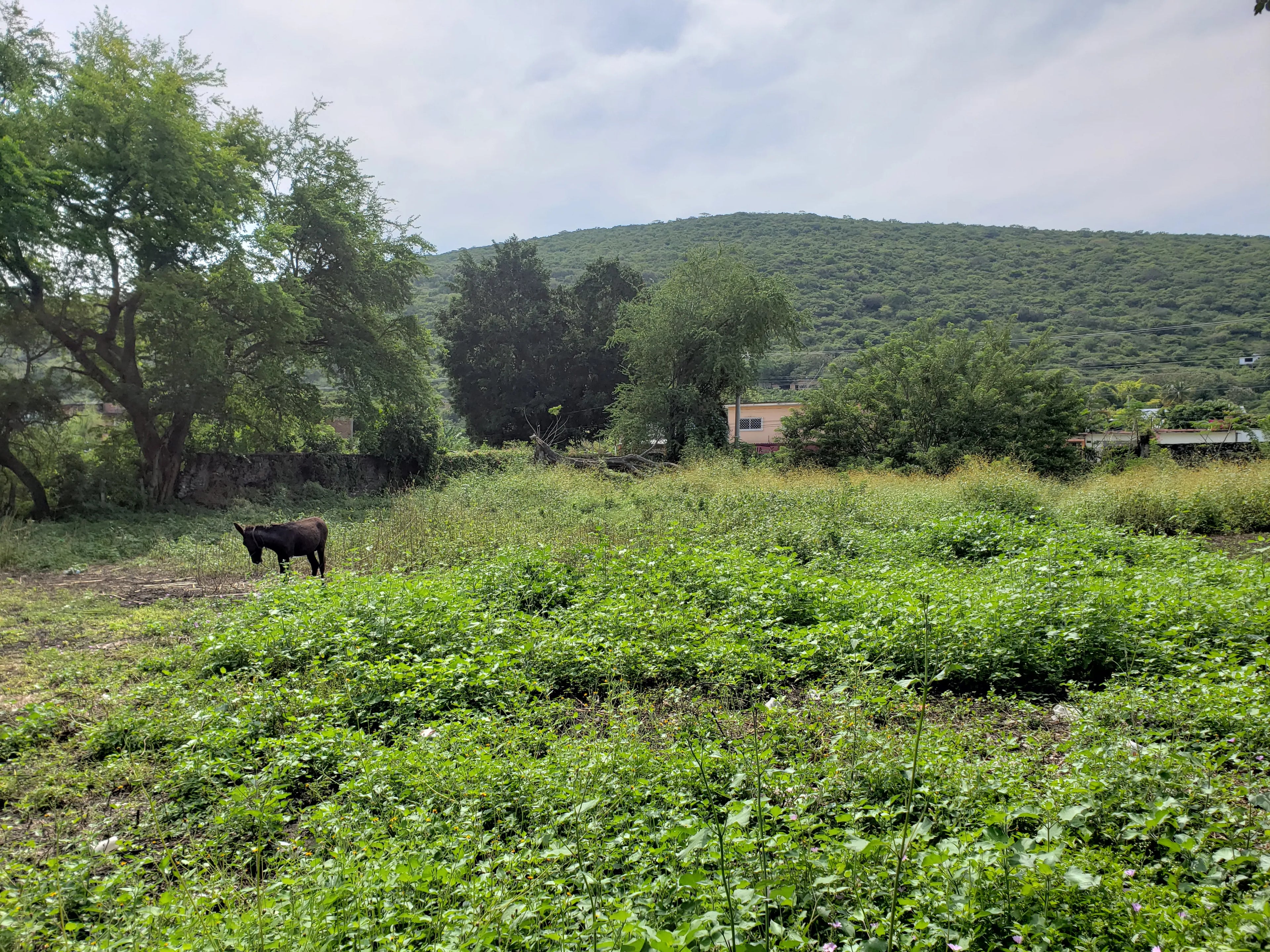 TERRENO TLALTIZAPAN