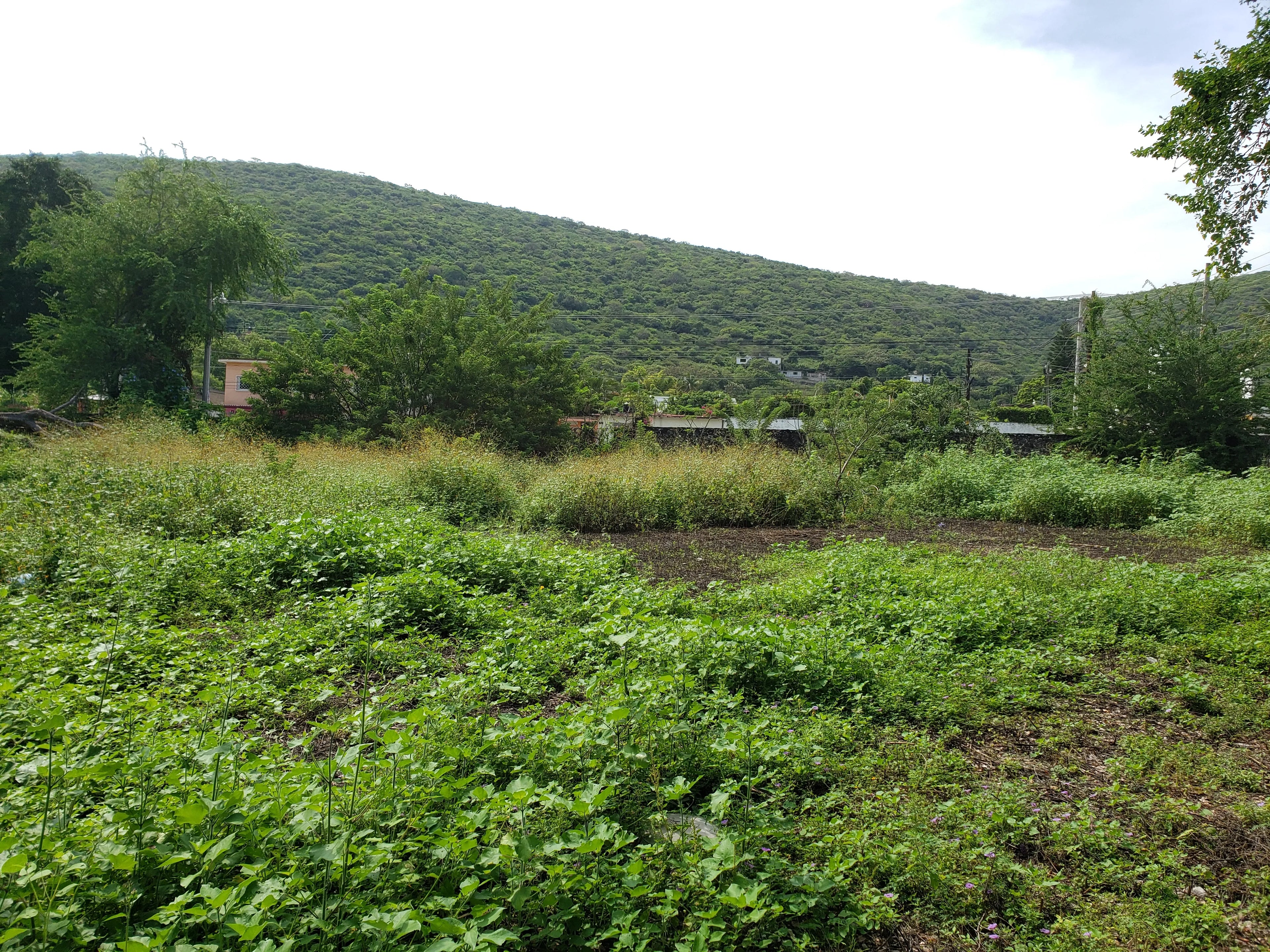 TERRENO TLALTIZAPAN